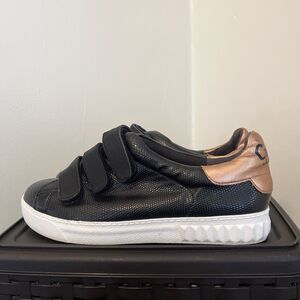 Circus by Sam Edelman Women's Chase Snakeskin Hook & Loop Skate Sneaker- 8.5